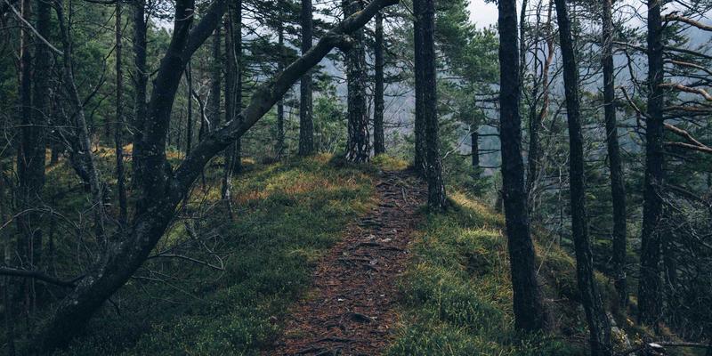 万家瑞家居百货指南：智能门锁安全性能深度对比，指纹、密码与视频功能如何选？