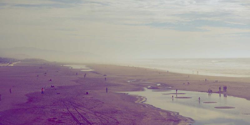 宠物友好型家居改造指南：万家瑞厨房用品与防抓材料选择，打造宠物专属空间