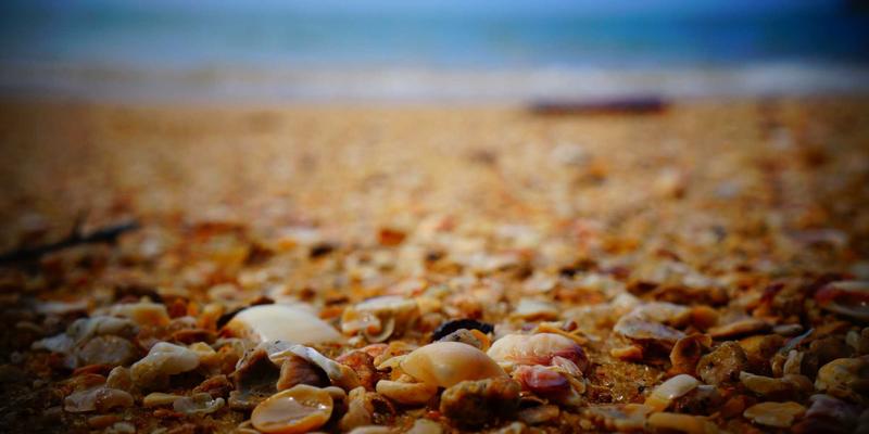 家居噪音综合治理方案：从厨房用品到静音家电的降噪用品全攻略