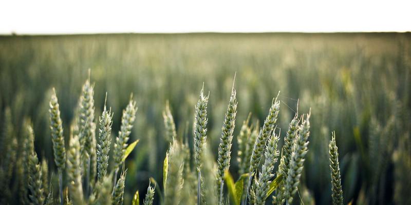 家居清洁用品对比评测：传统工具与智能设备的效率分析 | 万家瑞家居百货指南