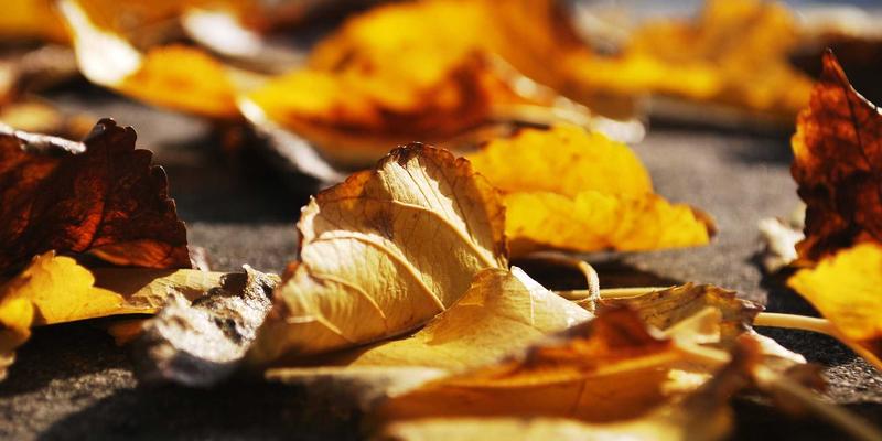 家居用品42：从家居百货到装饰艺术，打造理想生活空间的完整指南