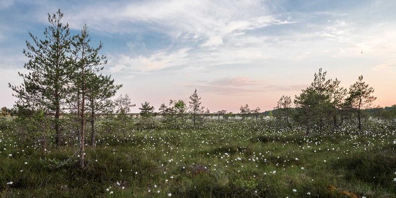 家居用品52：从日用百货到收纳整理，打造高效舒适生活空间