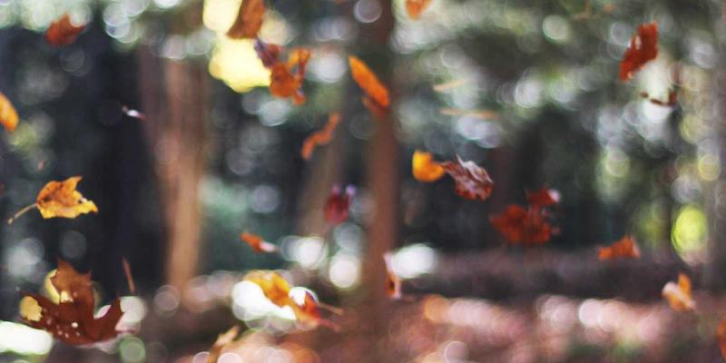 家居用品61：万家瑞日用百货如何重塑现代家居生活美学