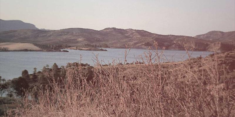 家居用品对比指南：从家居百货到收纳整理，打造高效生活空间