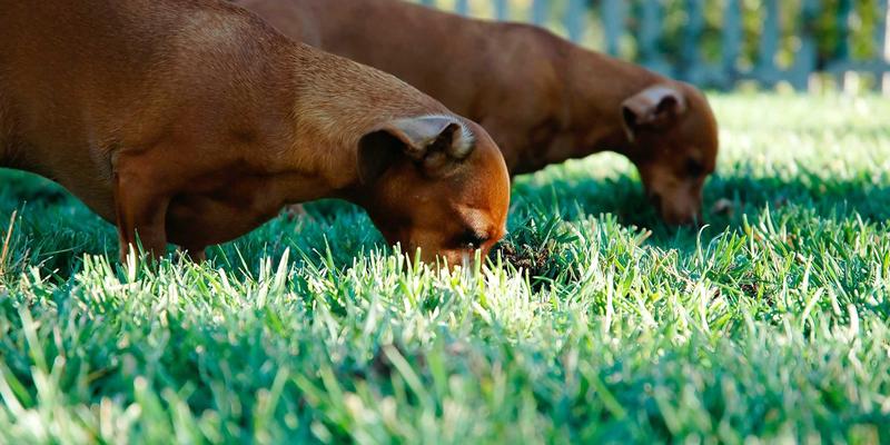 家居软装色彩心理学：万家瑞教你用窗帘、地毯与沙发配色，提升空间情绪价值