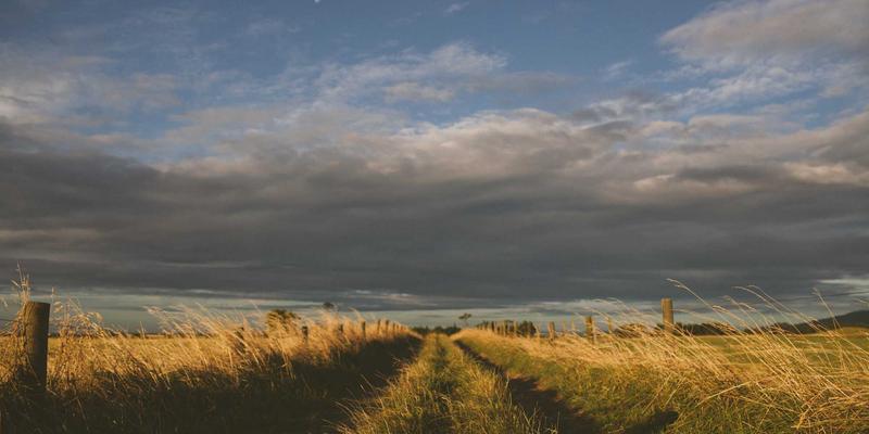 家居软装进阶指南：巧用纺织品与装饰画，搭配清洁与收纳打造质感空间