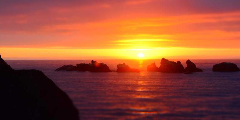 收纳整理与家居装饰新思路：用新风系统、空气净化器和绿植打造洁净呼吸空间