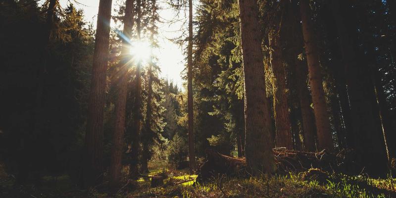 收纳整理的艺术：万家瑞家居用品如何重塑生活空间