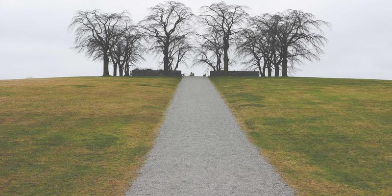 智能家居入门指南：从单品到全屋联动，打造未来之家的核心设备与家居装饰清单