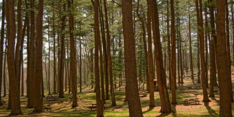 睡眠经济下的寝具革命：智能床垫与功能性枕头如何重塑家居百货新体验