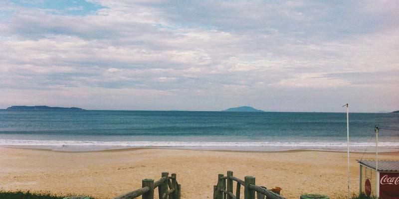 阳台微花园打造指南：用厨房用品与日用百货轻松养护的5种绿植